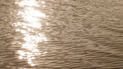 Golden Sunlight Sparkling on Ocean Water