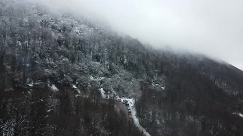 Verschneiter Waldhang