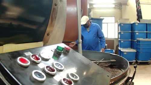 Man Processing Coffee Beans in Industrial Factory