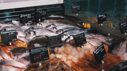 Fresh Sea Fish in Ice with Price Tags Are Sale on the Shop Window.