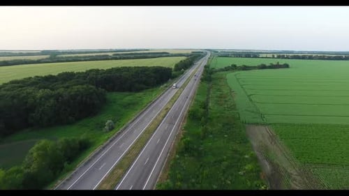 Cars Driving Along a Country Road in the Woods on a Summer Day. Aerial Shot
