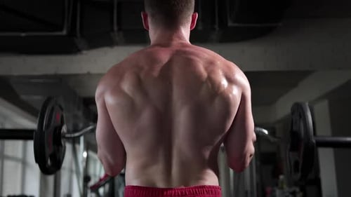A man in a gym with beautiful muscles on his back raises a barbell in front of him