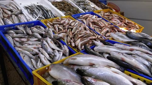 Frischer Seefisch im Eis auf der Theke des Seafood Market. Auf der Straße verkaufter Fisch.