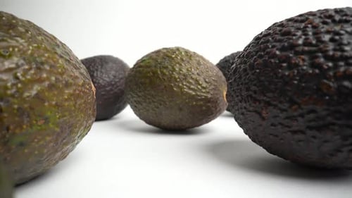 Avocado 65