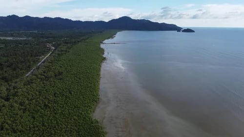 Aerial View of Tropical Forest and Ocean Coastline