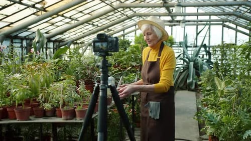 Senior Woman Gardening in Lush Greenhouse