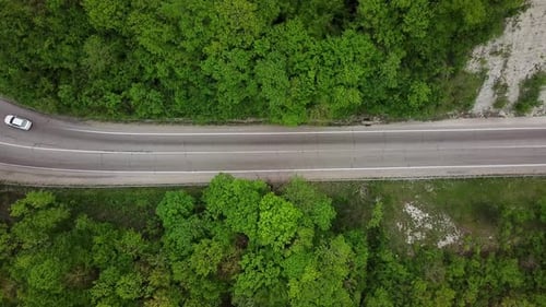 Car Is On The Country Road. Driving Through The Evergreen Forest. Top View