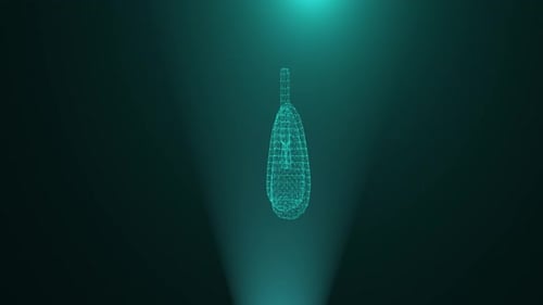 Holograma digital del hudo pulmonar