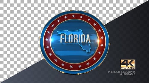Animated Golden 3D Emblem Reveal of US Flag and Florida
