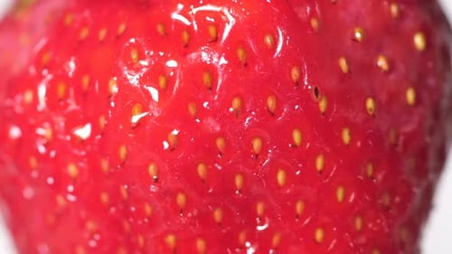 Strawberries in Water Drops on a White Background