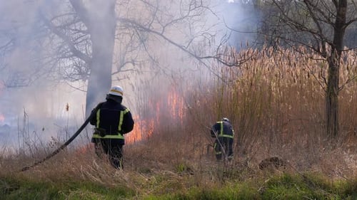 Two Firefighters in Equipment Extinguish Forest Fire with Fire Hose. Slow Motion