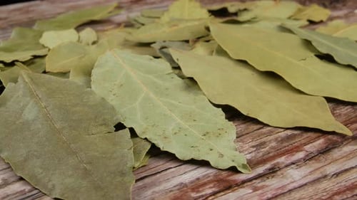Dried bay leaves texture