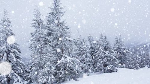 Schöner flauschiger Schnee auf Ästen