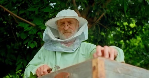 Portrait of a Male Beekeeper Who Takes Out a Honey Frame with Bees. Beekeeper Works in the Apiary