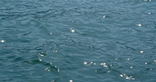 Sea surface with sunlight sparkle