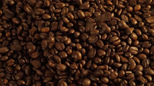 Kaffeebohnen fallen