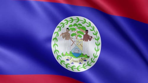 Realistic Waving Flag of Belize with National Emblem Animation