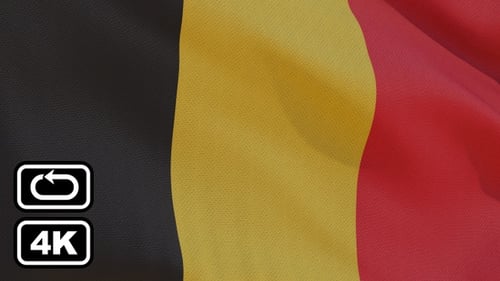 Seamless Loop 4K Flagge