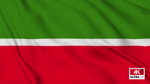 Seamless Waving Fabric Flag Animation