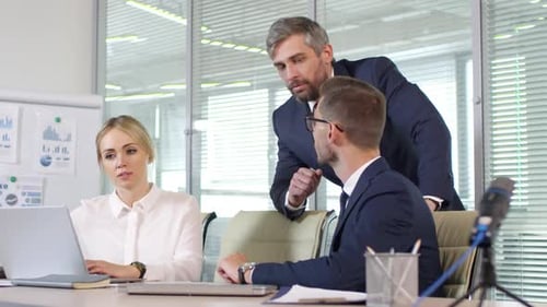 Executive Discussing Work with Businesspeople during Meeting