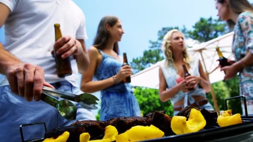 Friends Enjoying Barbecue on Sunny Day