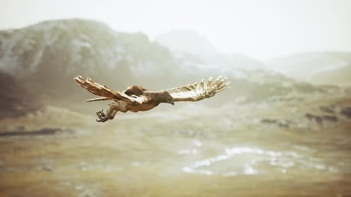 Majestic Eagle Soaring Over Barren Mountain Landscape