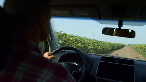 Driver Control Car Field em dia ensolarado