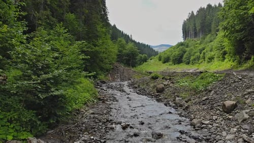 The Picturesque Mountains are Surrounded By Forest Streams Flowing Through Them