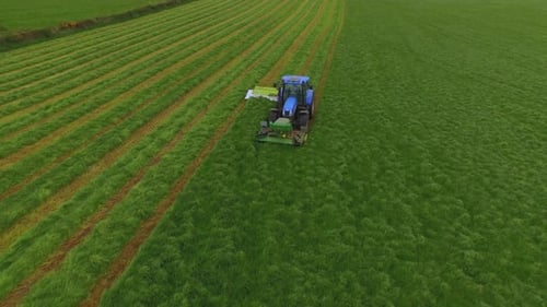 Luftaufnahme eines Traktors, der das Gras auf einer großen grünen Wiese mäht.