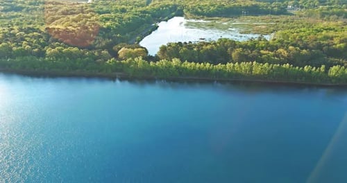 Aerial View of Pond on a Sunny Summer Day Forest Panorama