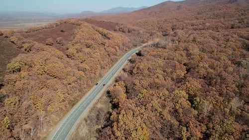 Aerial Orbital Shot of Cars Driving on a Highway Road in Between Autumn Forest Fall Season