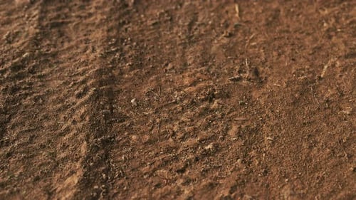 Wheel Tracks on Rough Road