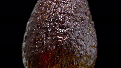Wet Ripe Avocado Rotates on Black Background