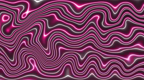 Abstract Neon Pink Wavy Lines Flowing Background Loop