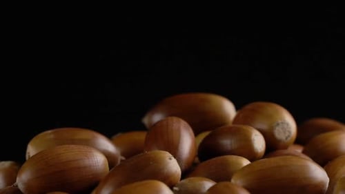 Close-up Rotation of Oak Acorns on Black Background