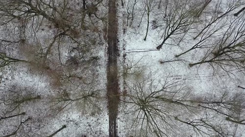 Aerial View of the Winter Forest with Path