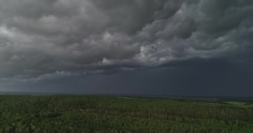 Stormy Sky Over Lush Green Forest Landscape