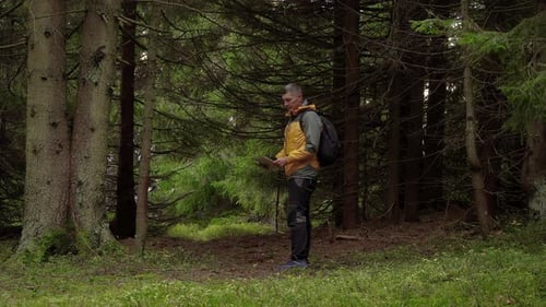 Viajante com um mapa em uma bela floresta