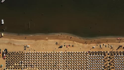 Top View, Drone Flying Above Summer Sea Coast, Perfect Public Sandy Beach with Chair Rows Towards