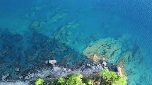 Top Drone View of Rocky Coast with Clear Transparent Water and Reef on the Bottom