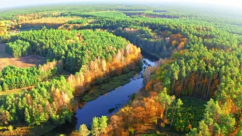 Colorful forest and blue river in autumn, aerial view