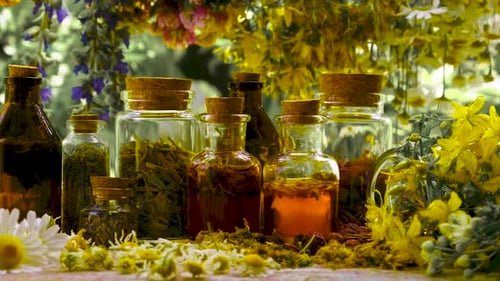 Bottles of Herbs and Natural Medicine Ingredients