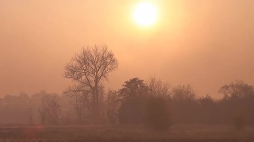 Golden Sunrise over Foggy Rural Meadow