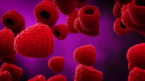 Abstract Floating Red Raspberries Background Loop