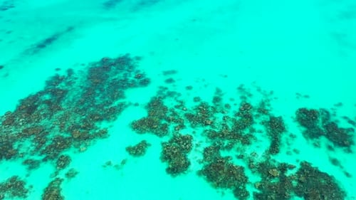 Luxury above abstract shot of a white sand paradise beach and blue water background in vibrant