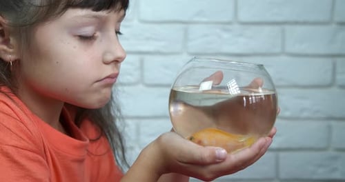 Child Holds Goldfish in Fishbowl
