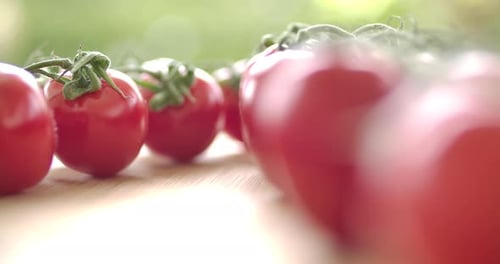 Tomates rojos saludables