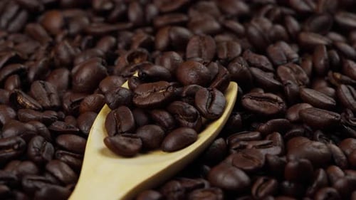 Close Up of Roasted Coffee Beans with Spoon