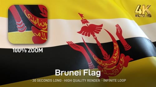 Realistic Waving Brunei Flag Seamless Loop Animation