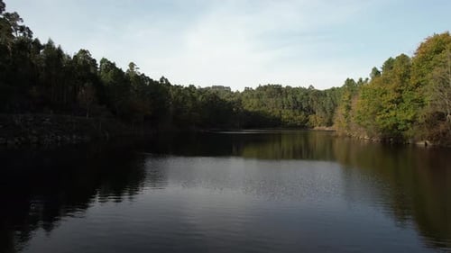 Wilde Wald- und Flusslandschaft